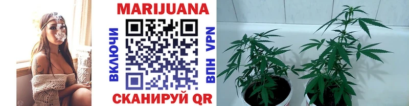 Бошки марихуана LSD WEED  Мосальск 